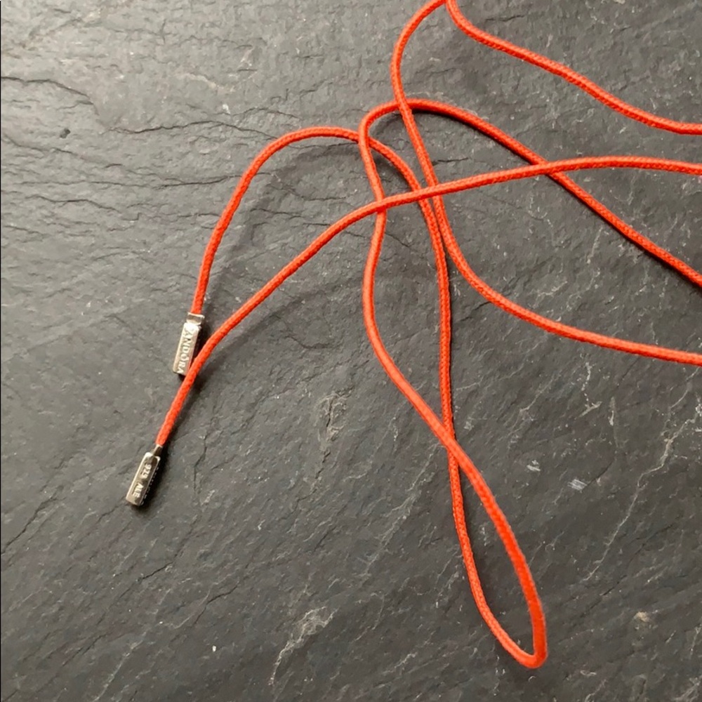 Pandora orange cord with sterling tips